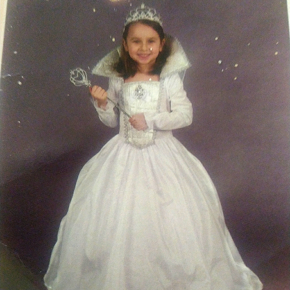 Fairy/ princess costume
